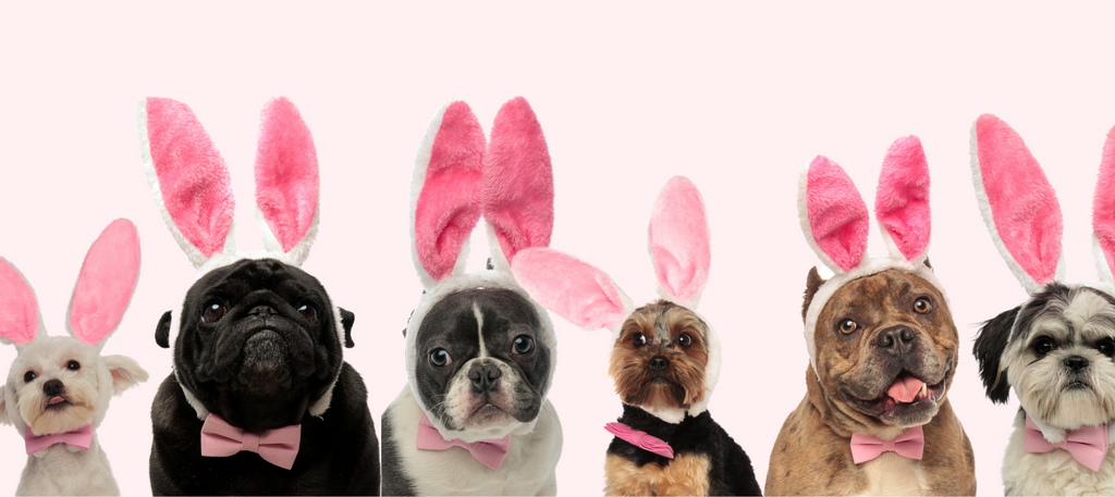 Lounge With Us: April Events You Won’t Want to Miss!